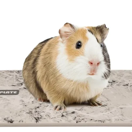 Cooling stone for Rodents