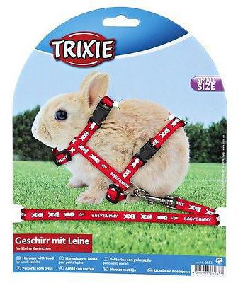 Harness with leash for small rabbits, nylon, 20–33 cm/8 mm, 1.25 m