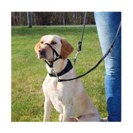 Training Harness L:31cm, black