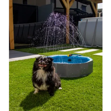 Fountain Doggy Pool