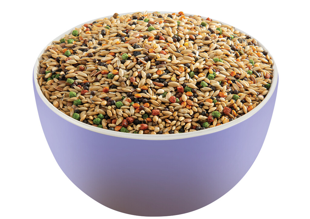Prestige Premium European Finches, 800g - Image 2