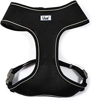 Mesh Harness Black MED