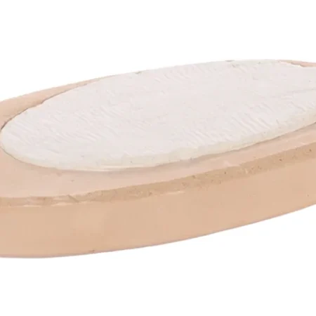 Sepia Shell - Strawberry