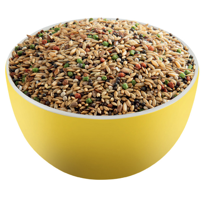 Prestige Premium Canary, 800g - Image 2