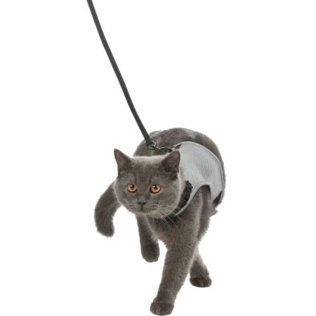 Soft harness cat, with lead, 24–42 cm, 1.20 m, taupe