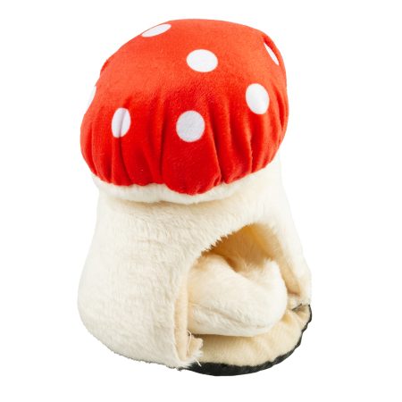 Mushroom House