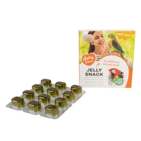 Jelly Snacks for Birds