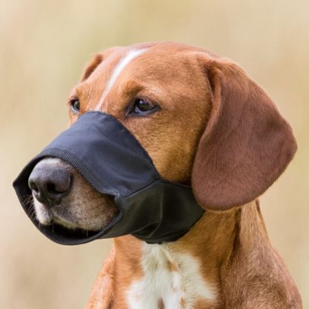 Muzzle Loop L