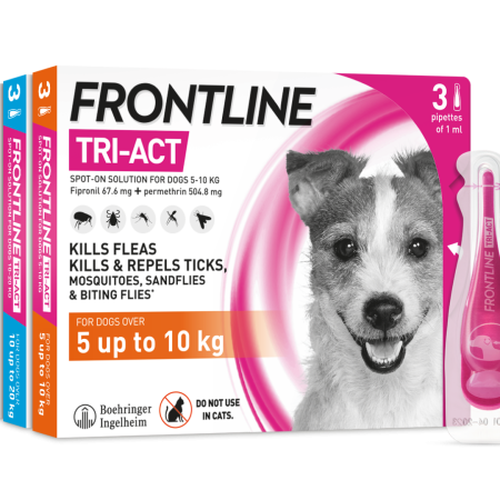 Frontline