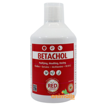 BETACHOL 1Ltr