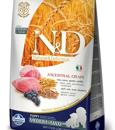 N & D Ancestral Grain Puppy Med/Maxi Lamb & Blueberry