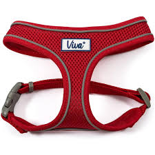 Mesh Harness Red XS