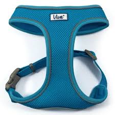 Mesh Harness Blue MED