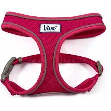 Mesh Harness Pink XS
