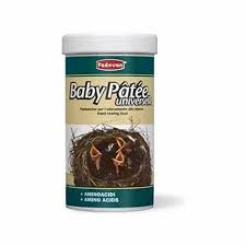 Baby Patee