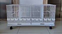 Breeding Cage - 4 compartments