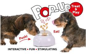 Pop-Up Treat Toy
