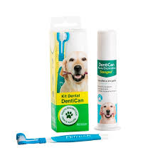 DentiCan - Dental Products