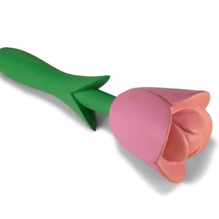 Squeaky Flower Toy 22cm