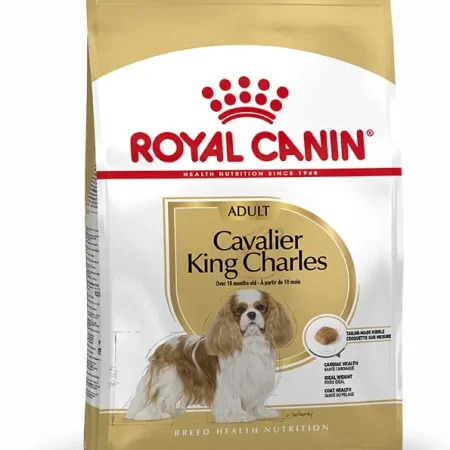 ROYAL CANIN CAVALIER KING CHARLES