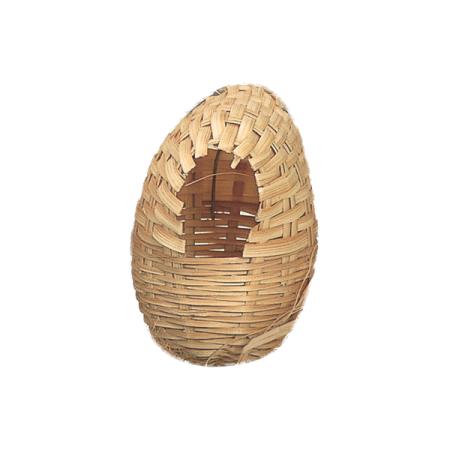 Exotic Bamboo Nest