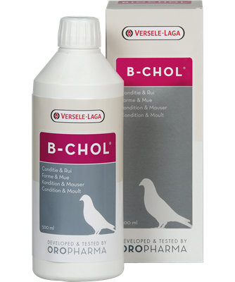 Versele Laga B-Chol, 500ml