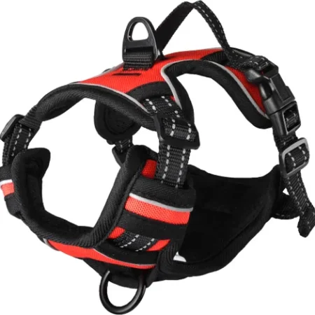 Balou Harness - Red - variety of sizes