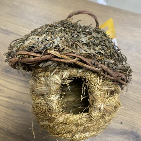 Exotic Birds Nest Bamboo