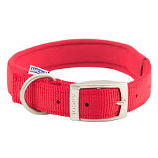 Padded dog collar w/buckle, XXL 55-63cm
