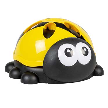 Splash beetle