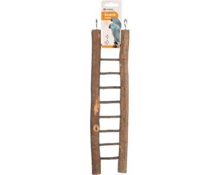 Parakeet Ladder